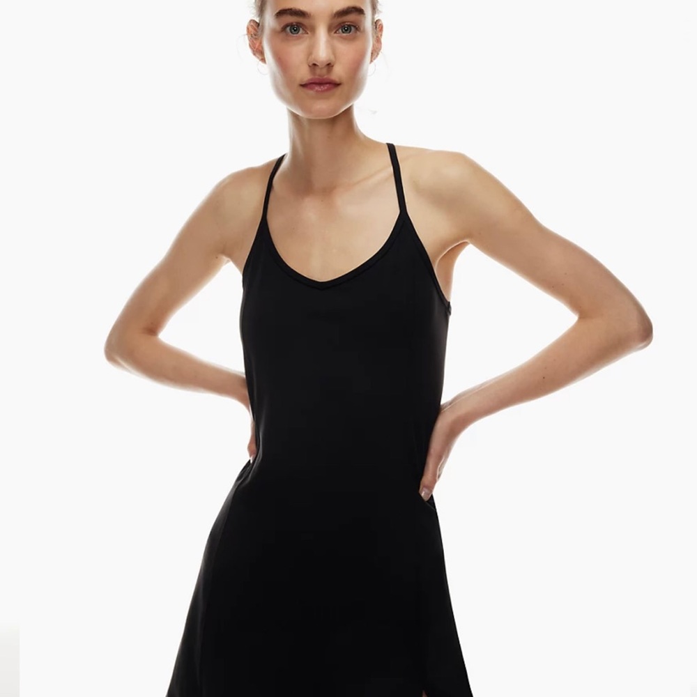 Aritzia court dress